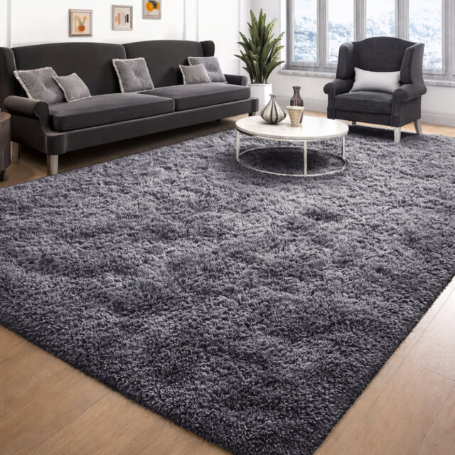 Indoor / Outdoor Living Room Area Rug