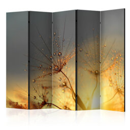 225cm W x 172cm H 5 - Panel Acoustic Room Divider Folding Room Divider