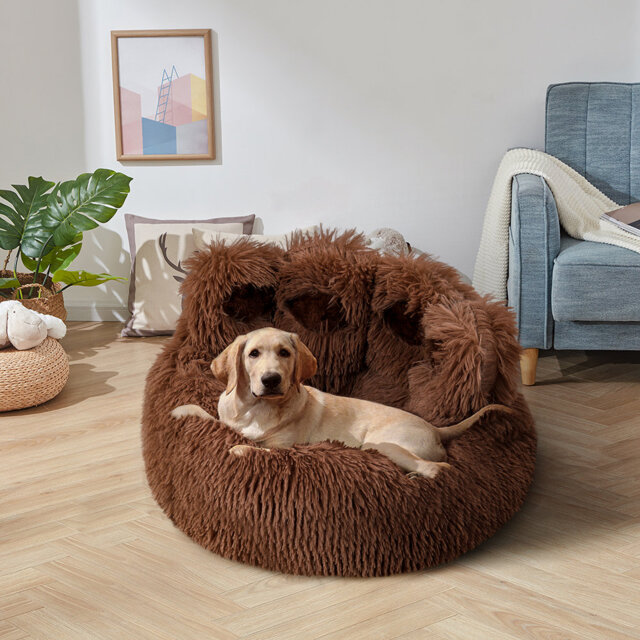 Creative Cute Bear Paw Dog and Cat Bed