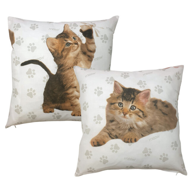CUTE KITTENS Symons Animal Print Square Cushion Cover