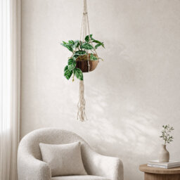 85cm Faux Plant in Ceramic Pot