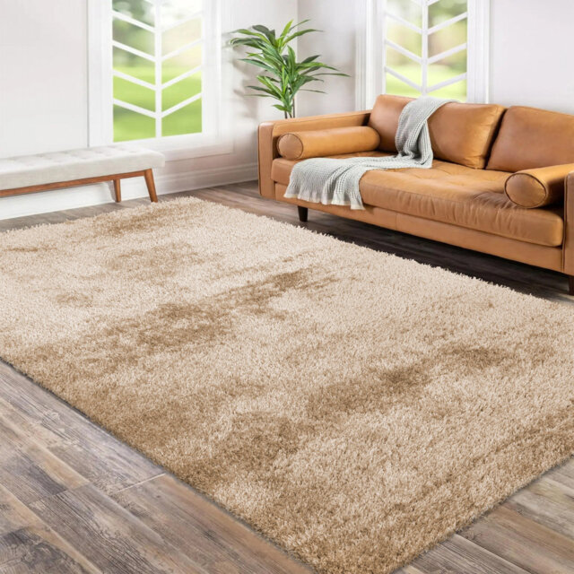 Cestar Shag Indoor / Outdoor Area Rug
