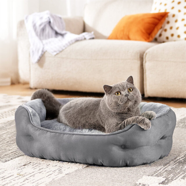Pet Sofa