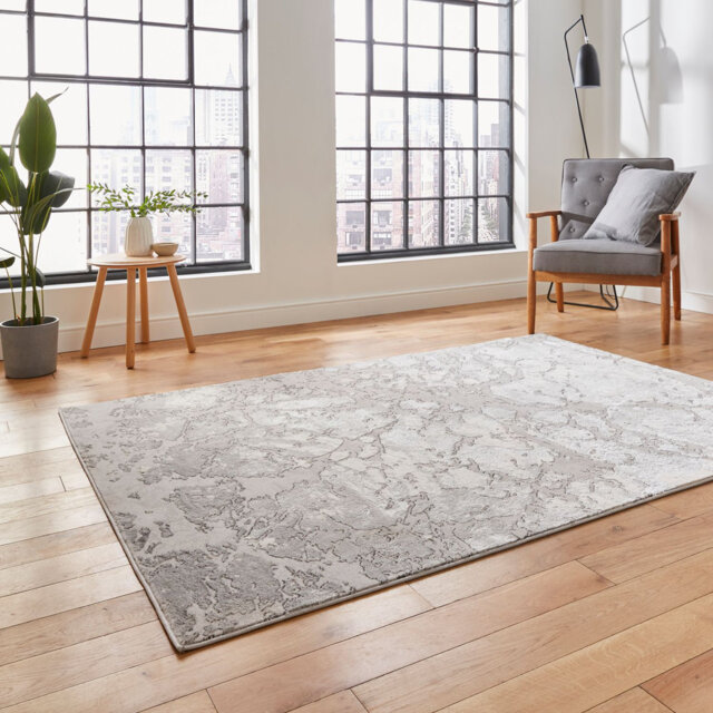 Apollo area rug Machine Woven Rectangle Grey