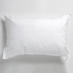 Tertius Polyester/Polyfill Medium Support Pillow
