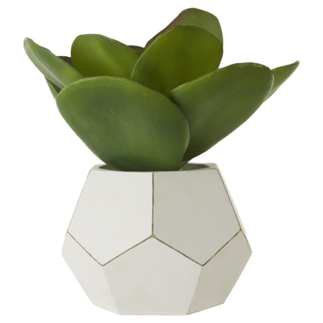 24cm Faux Succulent Plant in Concrete Pot
