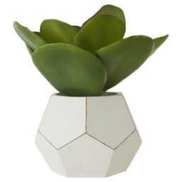 24cm Faux Succulent Plant in Concrete Pot
