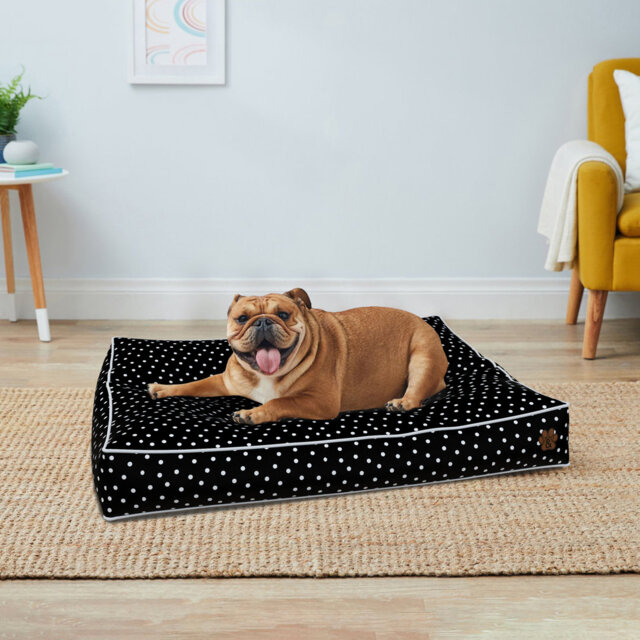 Dog Bed For Small - Medium - Large Dogs - Soft Pet Bed Mattress With Machine Washable Cover & PU Foam Pet Crate Bed - Dog Bed Mattress With Non-Slip B