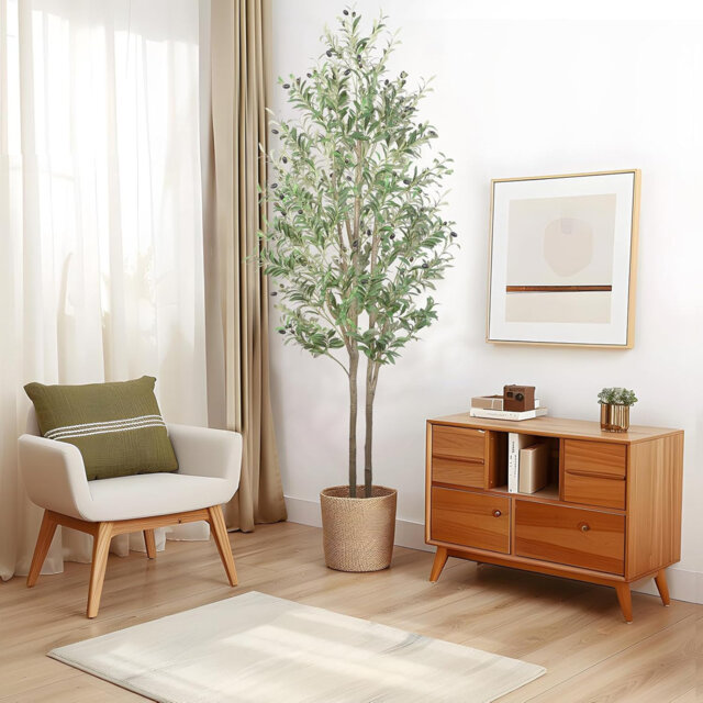 210cm Plant