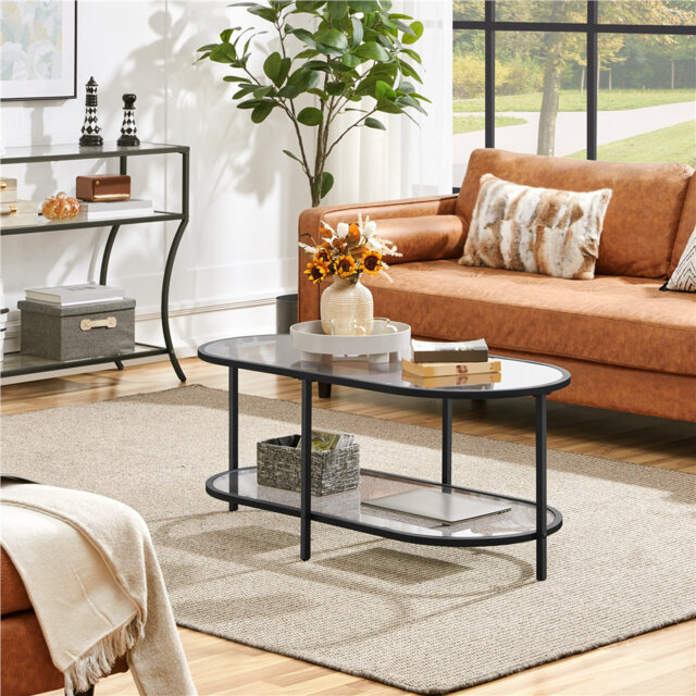 Glass Oval Coffee Table