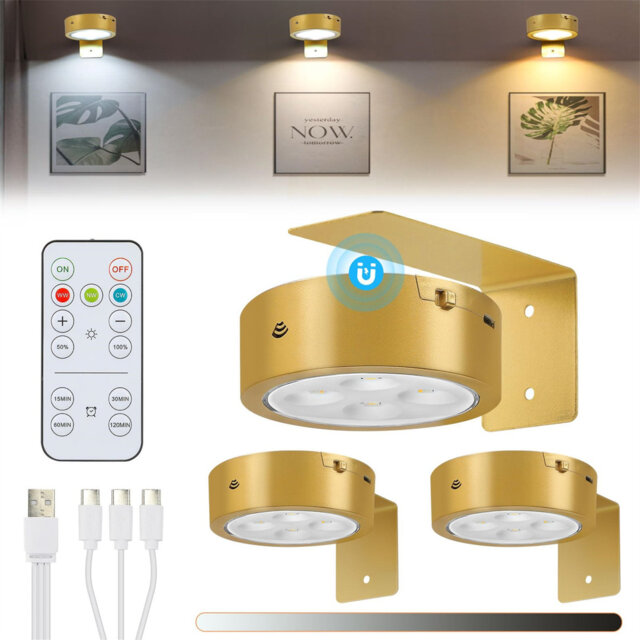 Battery Powered LED Wall Mount Picture Light