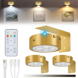 Battery Powered LED Wall Mount Picture Light