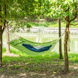 Double Hammock