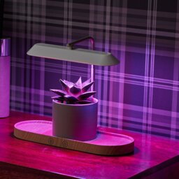 Tico Adjustable Wood USB Novelty Lamp