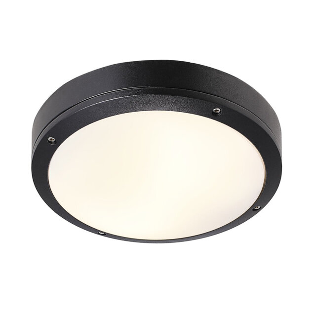 Desi Flush Mounted Sconce