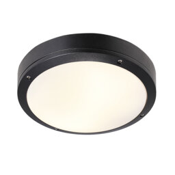 Desi Flush Mounted Sconce