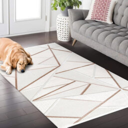 Stylish Area Rugs Soft Entryway Rug Pad Bedroom Rugs Non Slip Floor Mat Indoor Hallway Carpet BY005