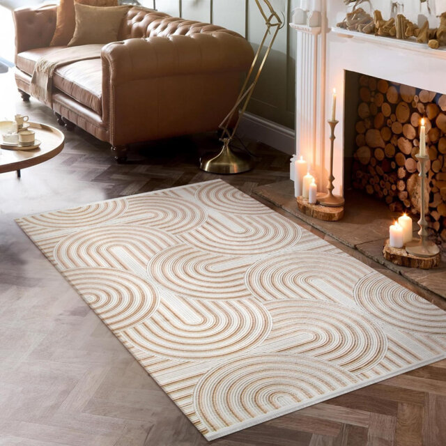 Stylish Area Rugs Soft Entryway Rug Pad Bedroom Rugs Non Slip Floor Mat Indoor Hallway Carpet BY001