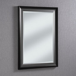 Anfrenee Rectangle Wall Mirror