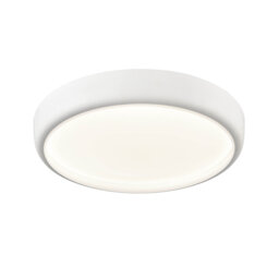 Bonaccord Glass LED Ceiling Light
