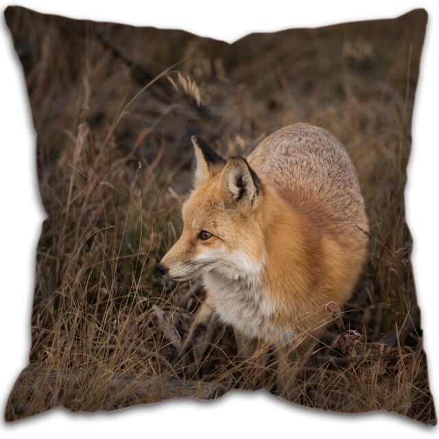 Kaliyah Square Cushion