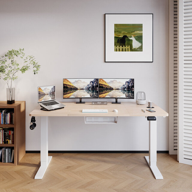 Hieronymus Electric Adjustable T-Shape Standing Desk Home Desk With Backpack Hook And Memory Smart Pannel