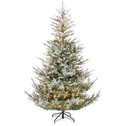 7' H Pre-Lit Snow Flocked Douglas Fir Christmas Tree