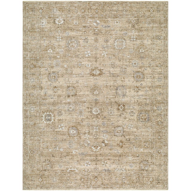 Becki Owens Penny-Vintage Brown Grey Traditional Vintage Boho Fringe Living Dining Bedroom Rug