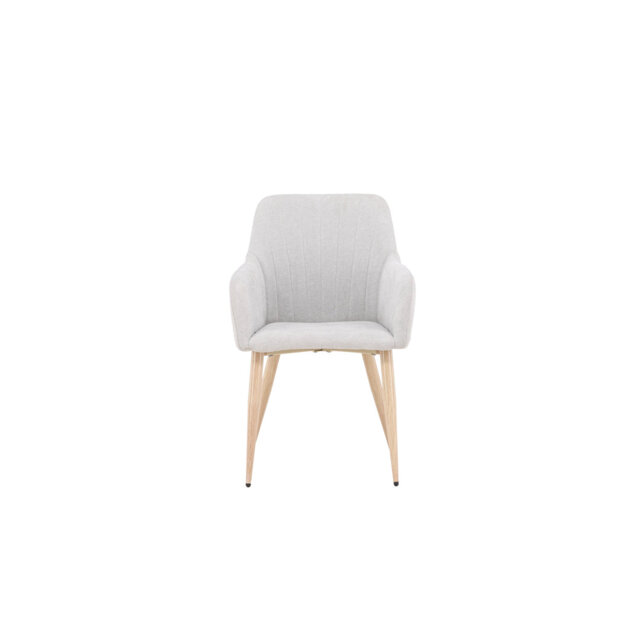 Dania 47cm H Polyester Upholstered Armchair in Gray
