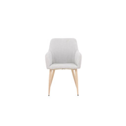 Dania 47cm H Polyester Upholstered Armchair in Gray