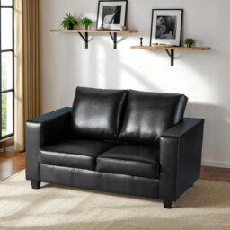 Layden 2 Seater Loveseat