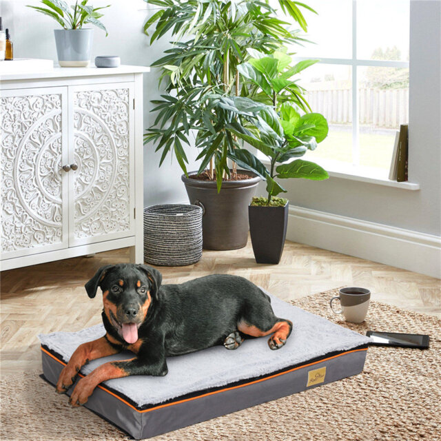 Orthopedic Dog Bed