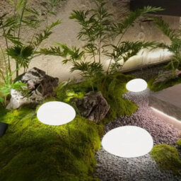 Natural Solar Powered Glass Pathway Light