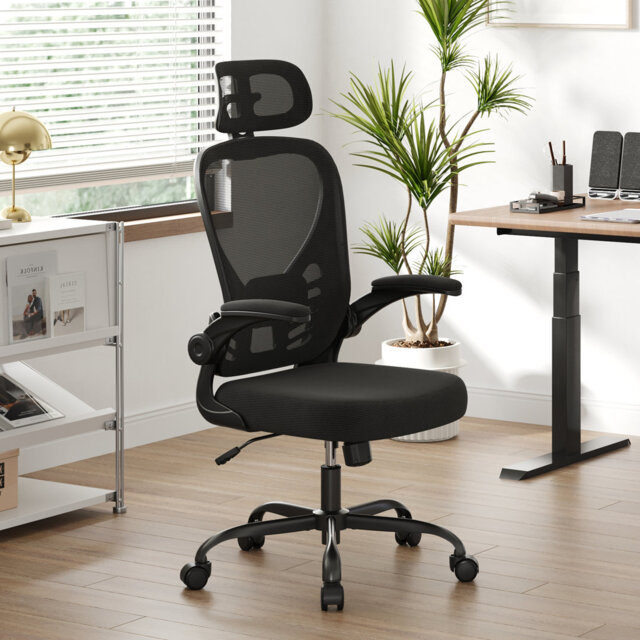 Eleonor Mesh Office Chair with Headrest