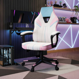 Tempest Ergonomic PC Office Gaming Chair