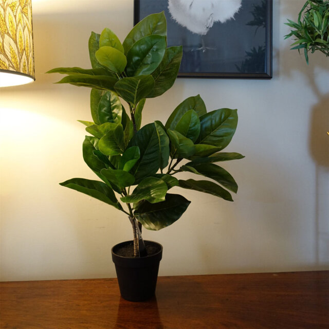 65cm Faux Fiddle Leaf Fig Plant in Pot Liner