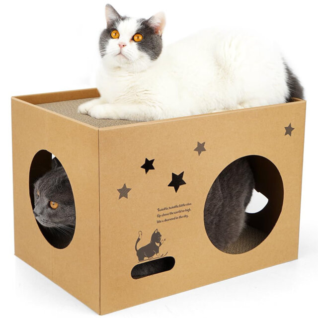 Large Cat Cardboard House with 2 Scratching Pads, Detachable Scratcher Box for Indoor Cats