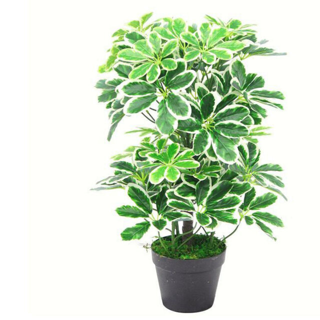 Artificial Arboricola Evergreen Plant 55cm Small Plant 55cm