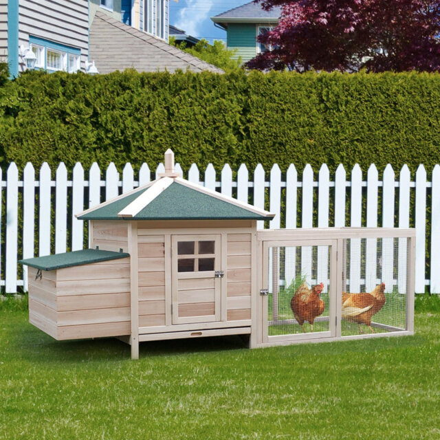 Walk In Chicken Coop For Up To 4 Chickens