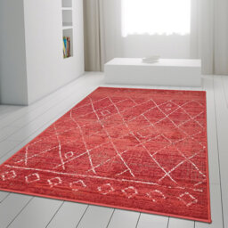 Aymond Machine Woven Red/White Rug