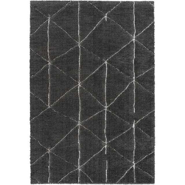 Hobart Geometric Machine Woven Black Area Rug
