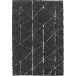 Hobart Geometric Machine Woven Black Area Rug