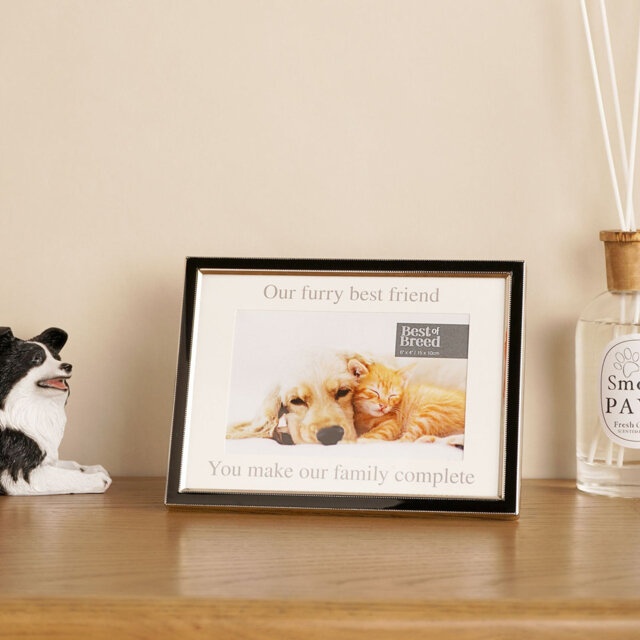 Silver Metal Picture Frame