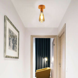 Avalea 1-Light 10cm Semi Flush Mount