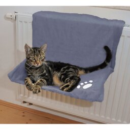 Jaidyn Specialty Cat Bed
