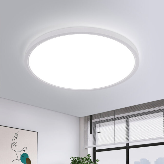 Azhani 30cm Waterproof LED Flush Mount Ceiling Light