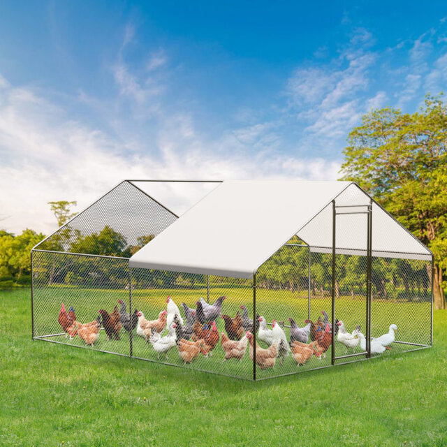12m² Chicken Coop