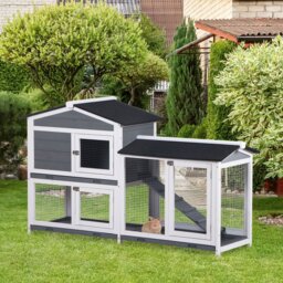 Rabbit Hutch with Ramp