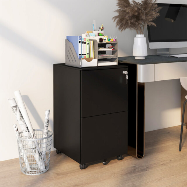 Aldrin 2 Drawer Filing Cabinet