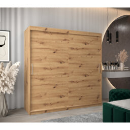 Anariah 2 Door Solid + Manufactured Wood Wardrobe
